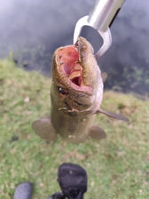 Foto enviada por André Souza
