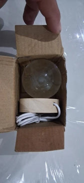 Foto enviada por Fernanda Pereira