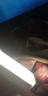 Foto enviada por Camila Pereira