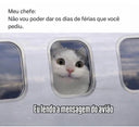 Foto enviada por Letícia Barbosa