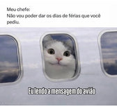 Foto enviada por Letícia Barbosa
