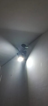 Foto enviada por Eduardo Gomes