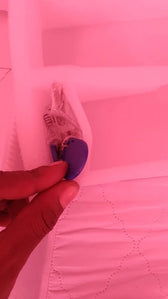 Foto enviada por Vinícius Pereira