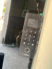 Foto enviada por Patrícia Barbosa