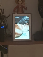 Foto enviada por Fernanda Rocha