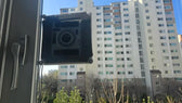 Foto enviada por Larissa Oliveira